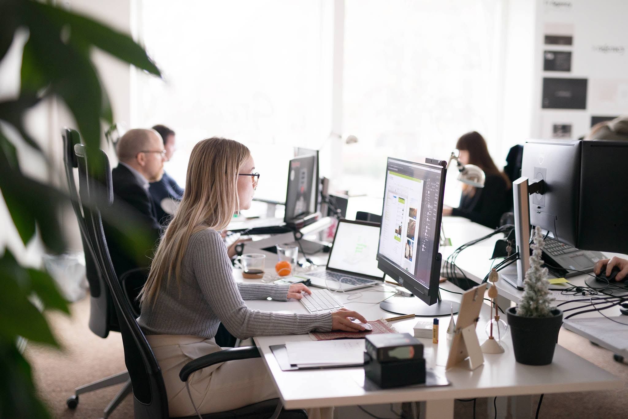 Colleagues at their screens in the bright open-plan office, a potted plant in the foreground